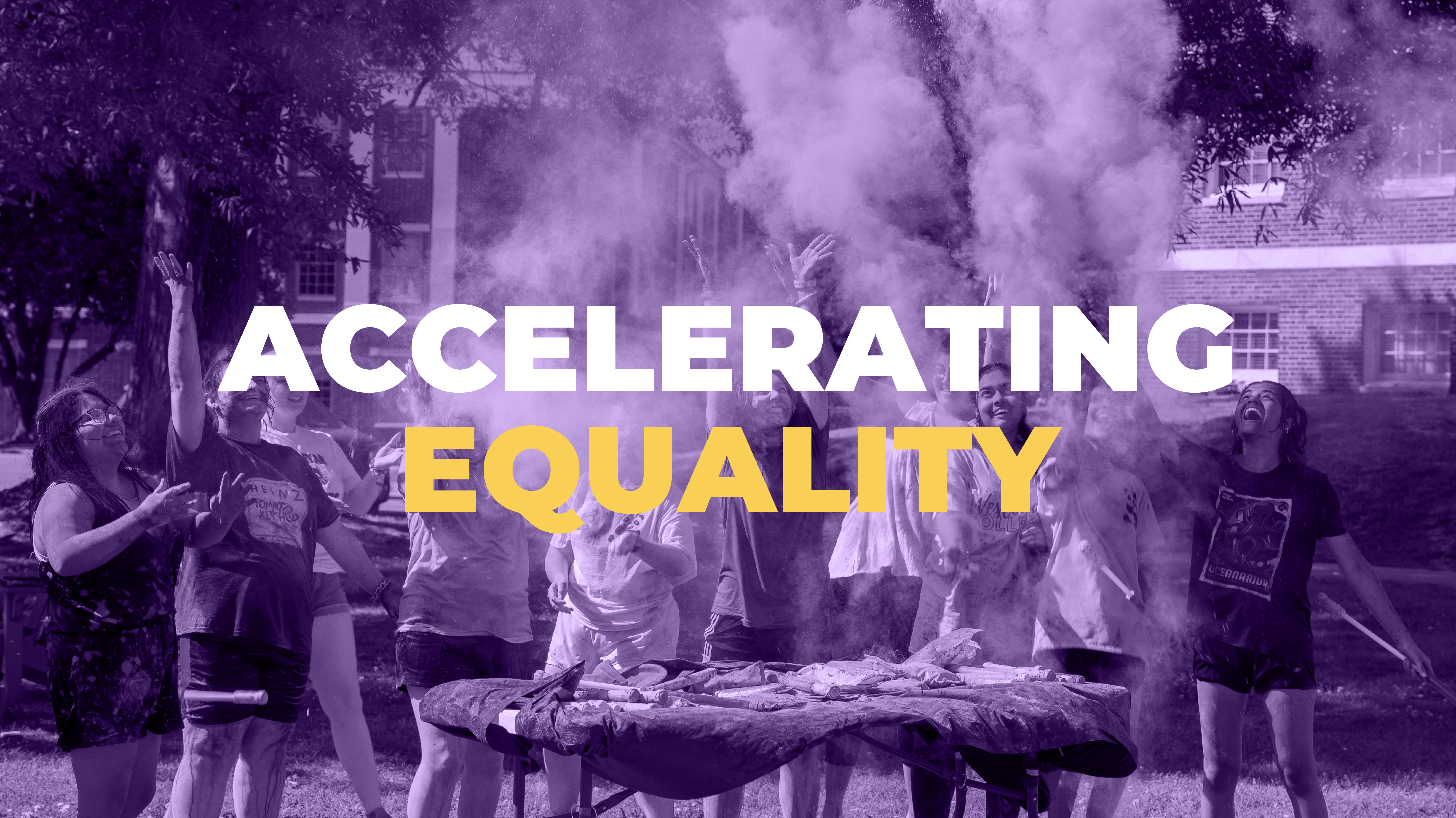 Accelerating Equality Photo Accelerating Equality